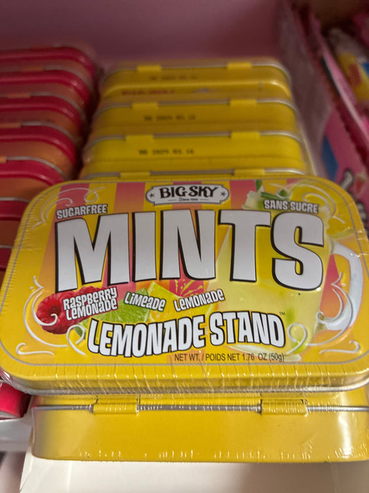 MINTS Lemonade Stand